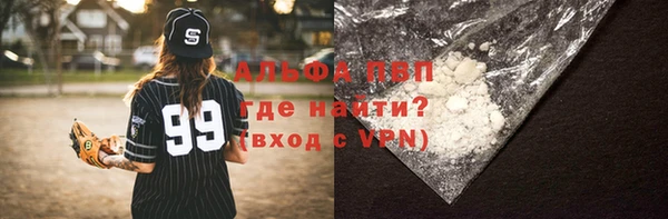 мяу мяу мука Инсар