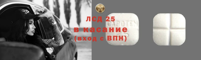 мяу мяу мука Инсар