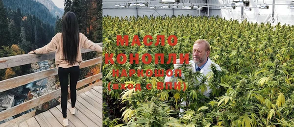 мяу мяу мука Инсар